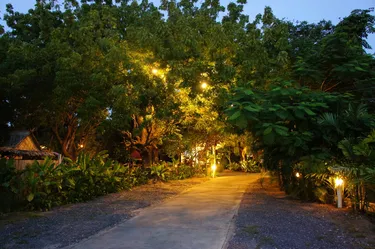 รูปภาพของปาล์ม วิลเลจ ภูเก็ต