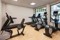 Embassy Suites by Hilton Tysons Corner - salle de sport