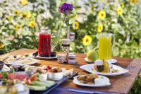 Ariana Sustainable Luxury Lodge