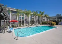 Doubletree by Hilton Chico - Pools