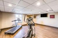 Comfort Inn Altoona-Des Moines - gimnasio