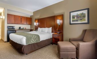 Comfort Suites Johnson City Near University