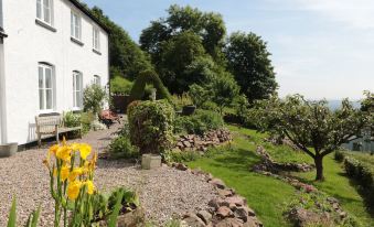 a garden with a variety of plants and flowers is shown next to a white house at Lilac Cottage