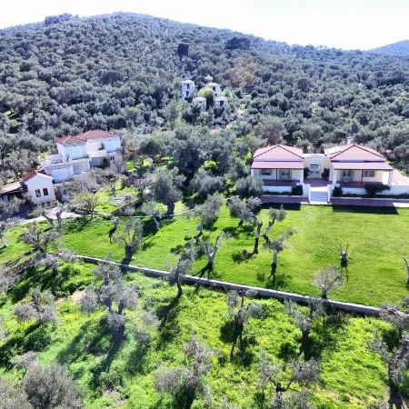 Gera's Olive Grove - Elaionas Lesvou