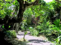 Cabinas Algebra Hotels in 