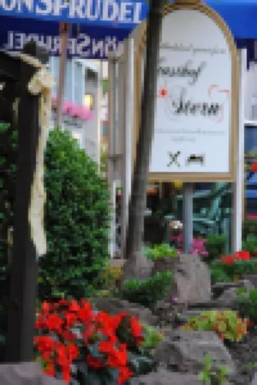 Gasthof Stern Burgsinn, Stern Gastronomie UG (haftungsbeschränkt)