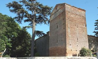 Chateau de Vallegue