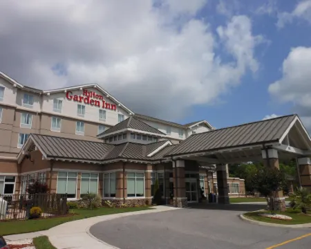 Hilton Garden Inn Chesapeake/Suffolk Hotels in Suffolk
