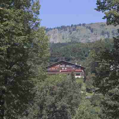 Hôtel Edelweiss Hotel Exterior
