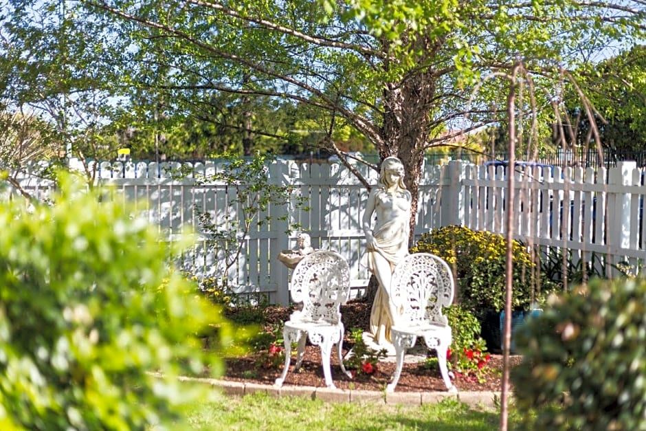 Birches B&B - Housity