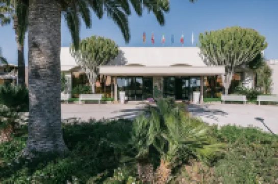 阿利庫迪島 M 俱樂部