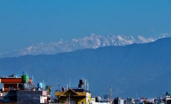 Mount Fuji Home