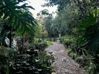 PepperTree Guest House Paulshof Jhb Solar&BoreholeWater