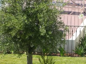 Residence Catherine