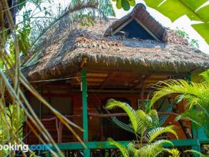 Tronco Tambopata Adventure