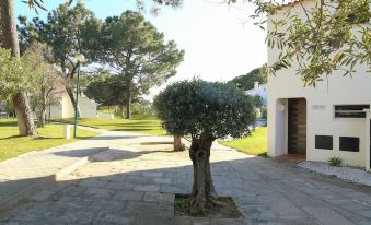 Villa Alfamar