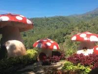 舒適的巴圖別墅