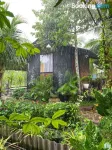 Go Chanh Homestay