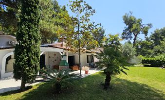 Elegant Villa Marlon with Shared Pool Near Sani Beach