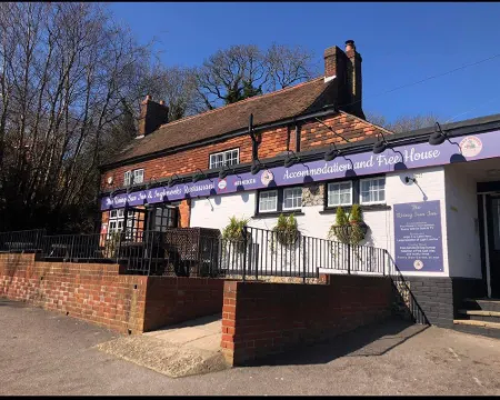 The Rising Sun Inn Hotels in Longfield