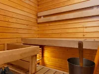 Metsänpirtti 1