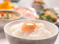 Hotel New Green Hotels in Nagaoka