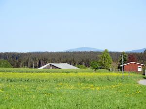 Auerhahn