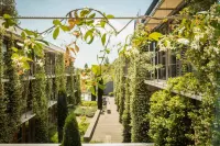 Courtyard Montpellier