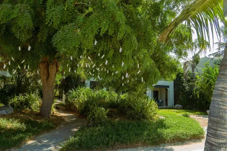 Rixos Al Mairid Ras Al Khaimah