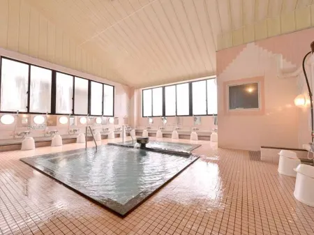 Daibo Hoyo Center Отели в г. Хиракава