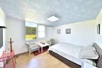 Andong Pension and Guest