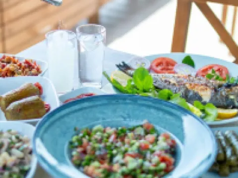 Trolius Park House Hotel Hoteles en Eceabat