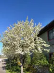 Super 8 by Wyndham Baxter/Brainerd Area Hotels in Baxter
