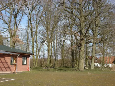 Wohnung in Zarnewanz Nahe Ostsee Отели в г. Царневанц