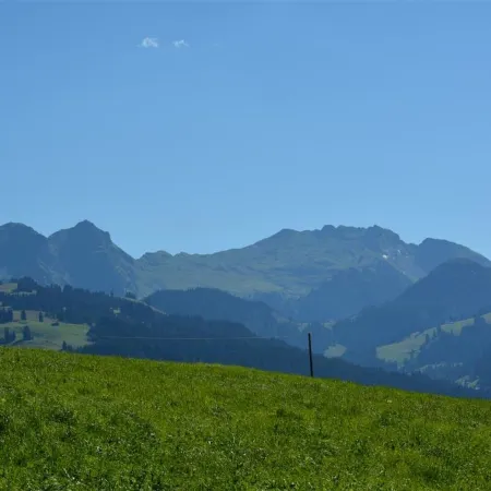 Mireille Nr. 6