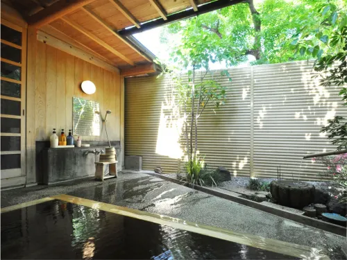 Higashiishikawa Ryokan - spa