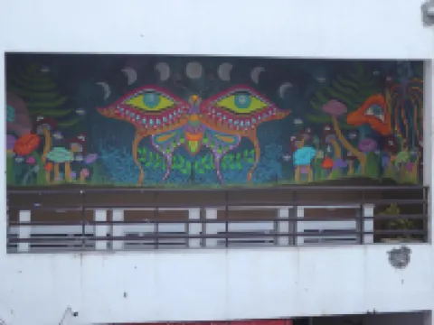 Hog - House of Gypsy