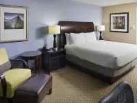 Hilton Garden Inn Raleigh-Durham Airport Hotels in Cary