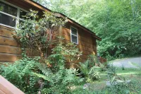 Yellow Creek Cabin, Secluded, on Creek, N.C. Trout Stream, near Fontana Hotels in Graham County