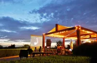 Beautiful apartment in Chianti on organic farm with pool and 360° sunset views
