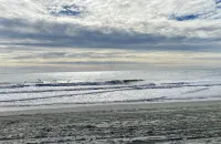 1Br, 2Bath Oceanfront Condo - Unit 810 - Best View on the Beach!