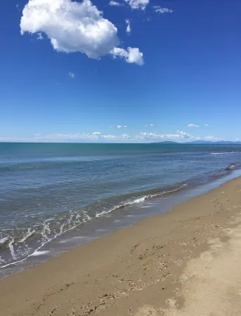 Country House, Lovingly Renovated in the Olive Grove, Large Panoramic Pool, Air Conditioning System