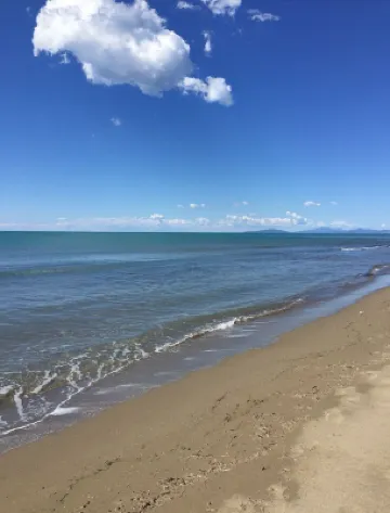 Lovingly Renovated Country House in the Olive Grove with Large Panoramic Pool, Air Conditioning