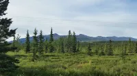 The Taiga House - inspiring mountain views at the edge of Denali National Park Hotels in Healy