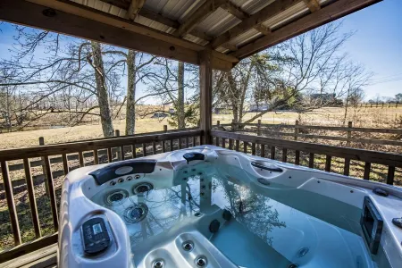 BASS CABIN w/ Hot Tub - Get Away From It All!