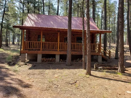 Circle Pine Ranch- "The Real Log Cabin Experience"