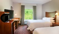 Hampton Inn & Suites Pittsburgh-Meadow Lands Hoteles en Municipio de North Strabane