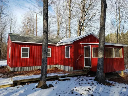 Petoskey - Cozy, Peaceful Cabin in the Woods. Close to Trails and Lakes!