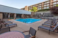 DoubleTree by Hilton Hotel Pittsburgh - Green Tree - Pools