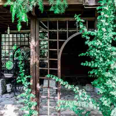 Villa immersed in the Green Hotel Exterior